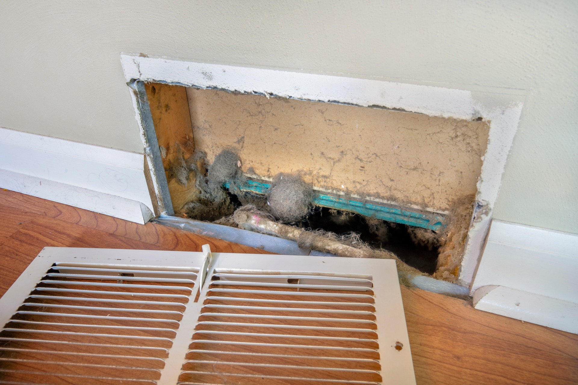 Damaged baseboard with exposed insulation, dirt, and deteriorated materials showing water damage and decay