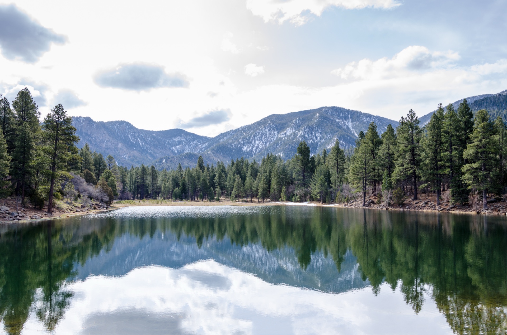 Serene mountain lake surrounded by pine forest and snow-capped peaks reflecting in calm water